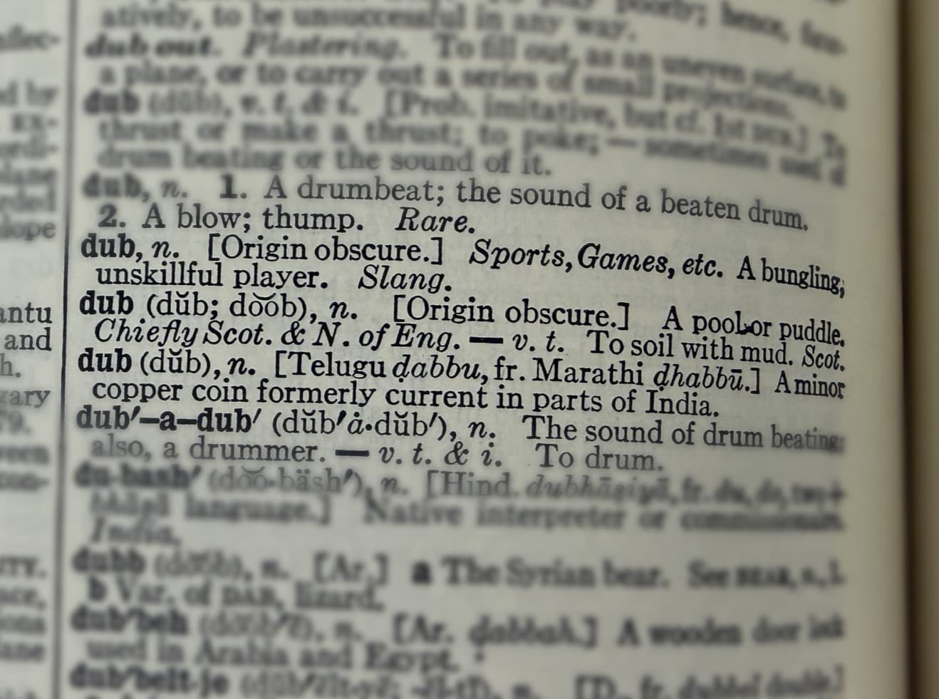 Close-up of the dictionary entry for 'dub' - a pool or puddle