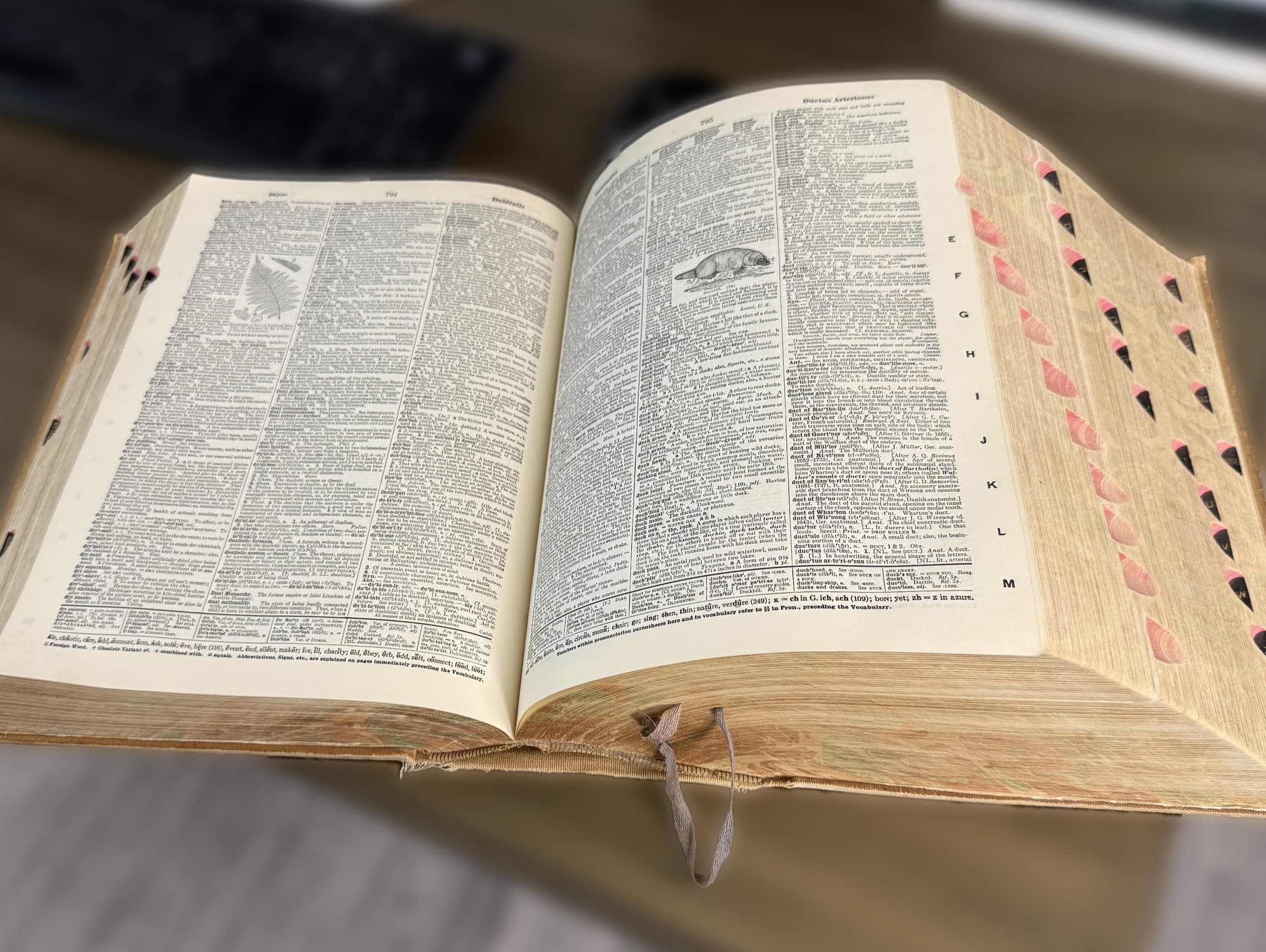 A large old dictionary lying open on a desk